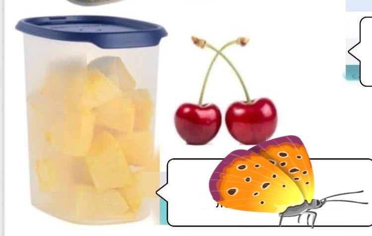 Овал с херметическо затваряне